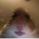#Arnecoby