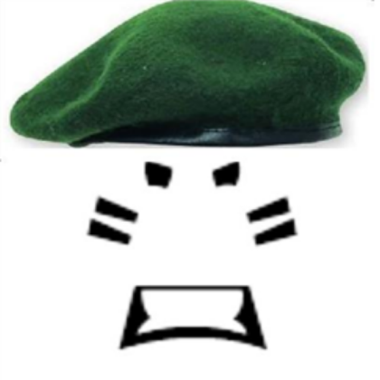 Green Beret Roblox decal