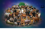 The animal squad<3