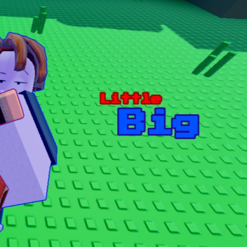 Little Big [2 Player Obby]
