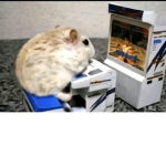 Awitized
