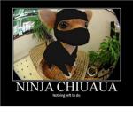 The Ninja's!:D