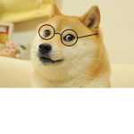 Big Brained Diamond Doge