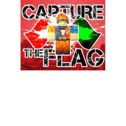 capture the flag test