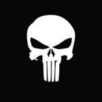 The shadows (combat warriors)