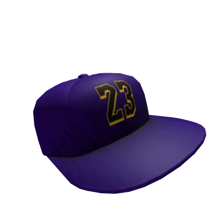 Lebron james lakers cap shop