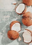 ||CoCo PaStEl||