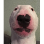 Kuno