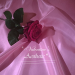 *+Valentine's Aesthetic*+