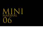 MiniMarshal Fan group