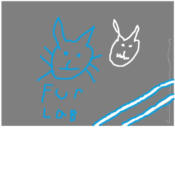 Fur labs Research site [MOVING]