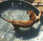 rawrr <3 Group Thumbnail
