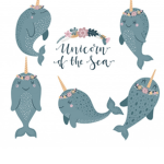 Rainbow narwhals 123411