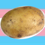 -The Trans-