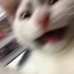 セージ