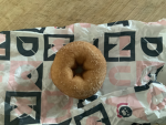 Little cinnamon donuts