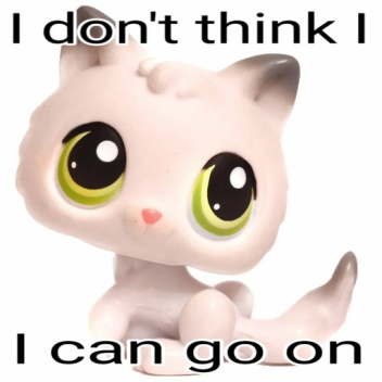  ⋆ ˚｡⋆ ୨୧˚ ⋆