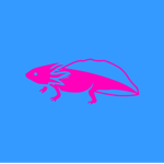 Axolotl Fans