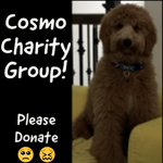 ..COSMO CHARITY GROUP..