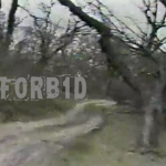 forb1d