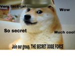 THE SECRET DOGE FORCE