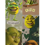 The swaggo waggos
