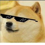 The true Doge buddys