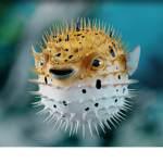 pipdinosaus