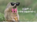 |~jeff the squirrel~|