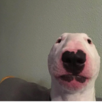 PROJECT WALTER