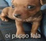 Grupo dos Fofineos e Fofineas :3