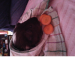 Onlie for guinea pig VIP