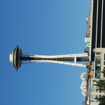 The dragon riders of roblox