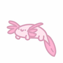 The Official Axolotl Kingdom’s Donation Centre