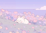 SWEETBUNNY CLUB