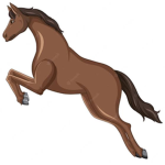 *+Horse club games+*