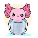 !!Axolotl Team!!
