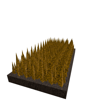 Wheat Farm