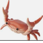 Crab Group For Pog People