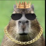 THe AwesOMe CapyBarA KingDoM