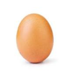 The Awesome Eggo's