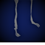 jpentigar
