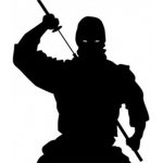 The epic NINJAS and SPy!