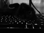 project dark.