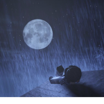 ~Moonlight Aesthetics~