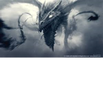 Dark_dragon team