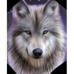 Wolf-paq