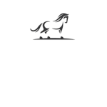 Western Trading Company (W.T.C)