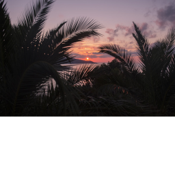 Aesthetically