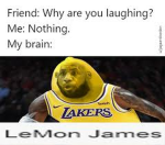 Lemon's are cool